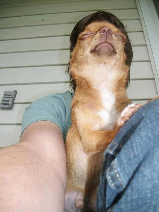 Selfie-Dog